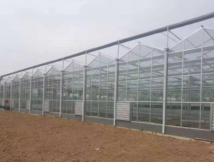 PC薄膜溫室大棚可以防風(fēng)嗎？