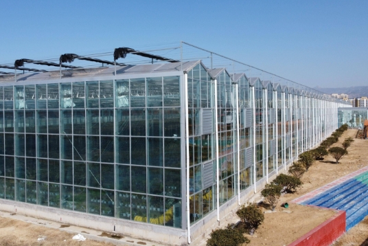 PC板的外墻裝飾能使用多久？