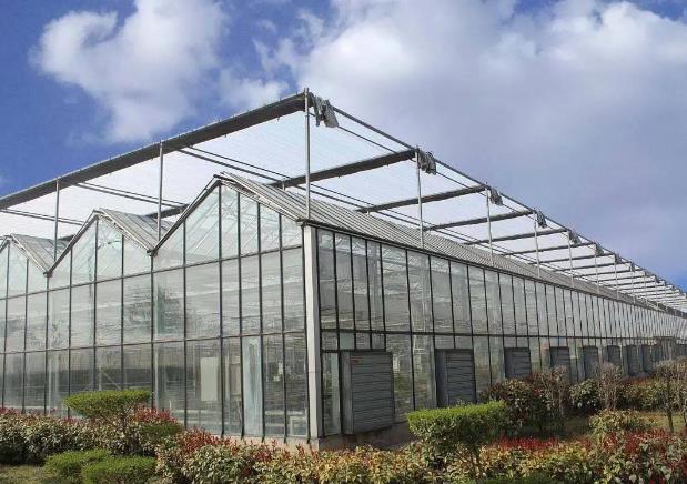 PC板新型溫室大棚一畝造價多少錢？